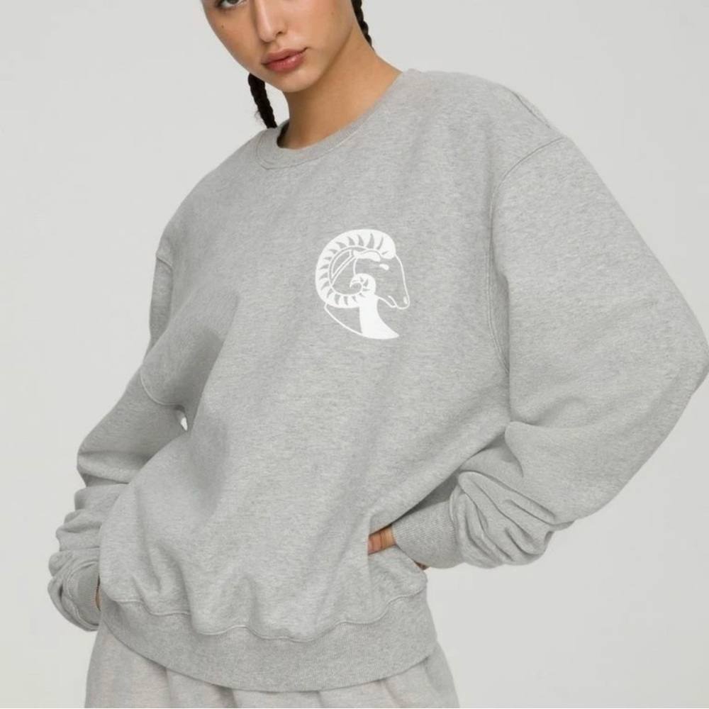 Good American Women’s Oversized Sweatshirt Capricorn  size 5 2XL Grey